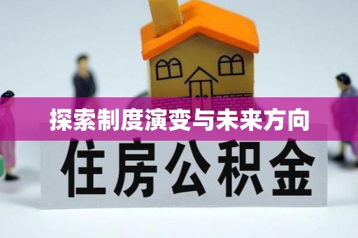 新余探索制度演变与未来方向